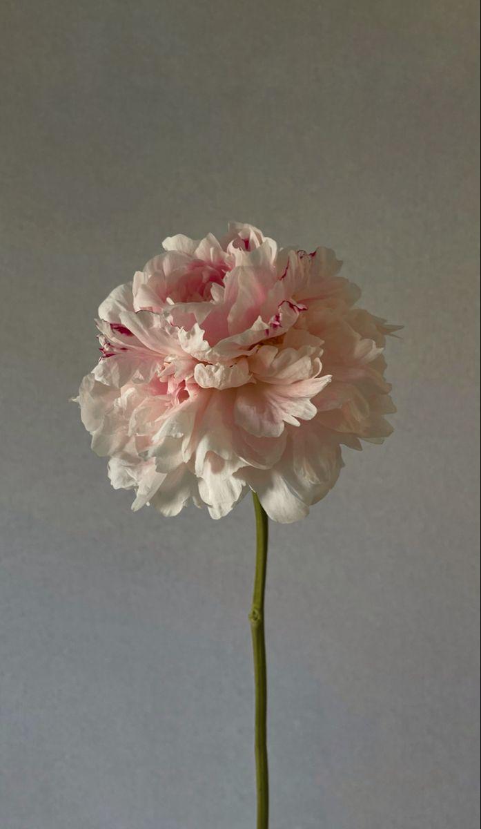 Professional floral arrangement in modern corporate setting